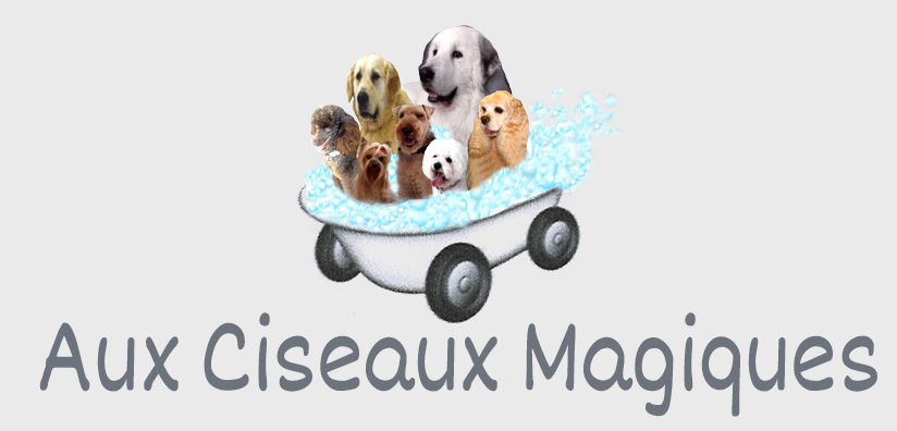 logo-ciseaux-magiques